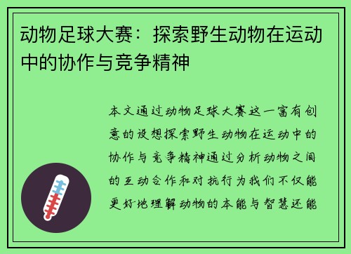 动物足球大赛：探索野生动物在运动中的协作与竞争精神